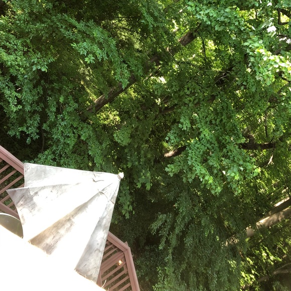 Meet your Posher, Abeer - Picture 1 of 1